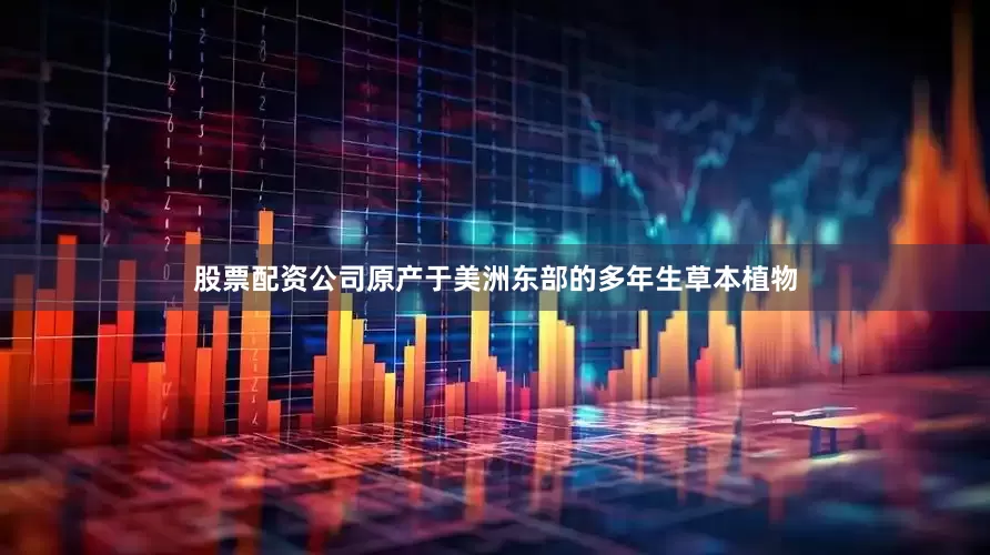 股票配资公司原产于美洲东部的多年生草本植物