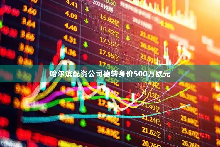 哈尔滨配资公司德转身价500万欧元