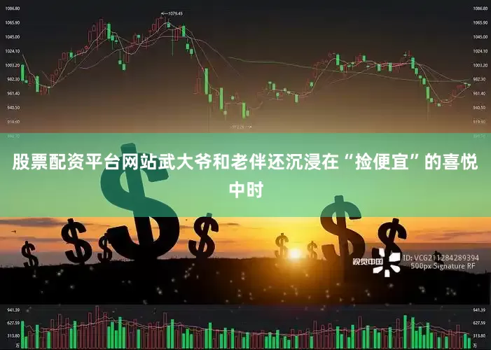 股票配资平台网站武大爷和老伴还沉浸在“捡便宜”的喜悦中时