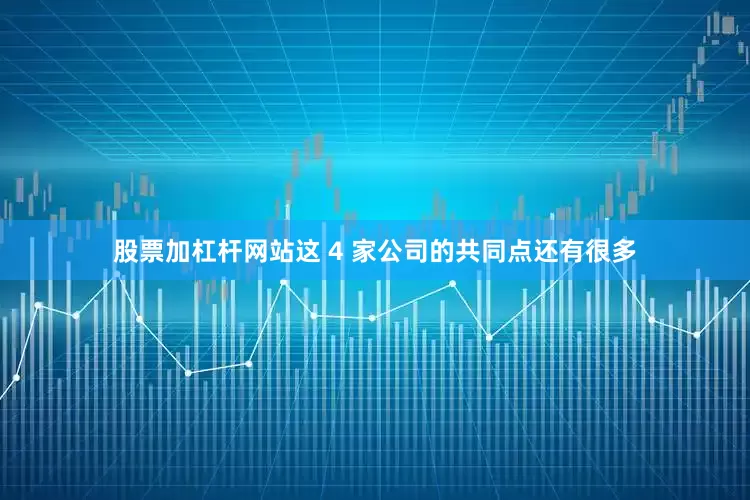 股票加杠杆网站这 4 家公司的共同点还有很多